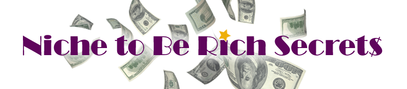 Niche Marketing: Niche to Be Rich Secrets